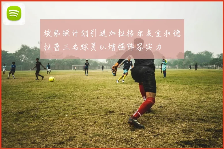 埃弗顿计划引进加拉格尔麦金和德拉普三名球员以增强阵容实力